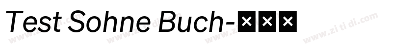 Test Sohne Buch字体转换